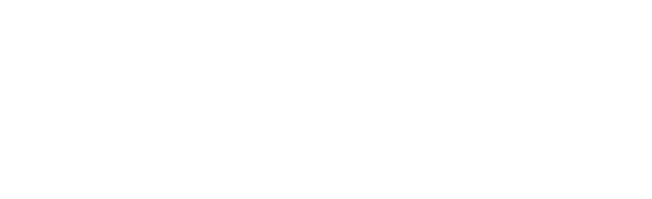 logo light